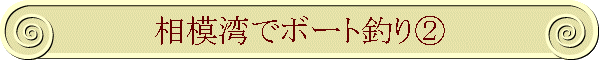 ͘pŃ{[gނA
