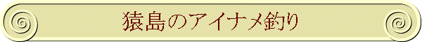 ̃ACiނ